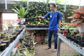 Hari Tani Nasional, Pemprov Terus Dorong Lahirnya Petani Milenial