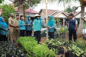 Tanam Cabai di Pekarangan, Warga Blingoh Tak Terimbas Harga yang Meroket