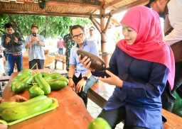 Khofifah Takjub dengan Alpukat Raksasa di Kediri: Beratnya Hampir 2 Kg!