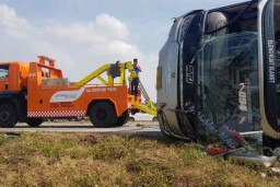 Kecelakaan di Tol Cipali, Satu Tewas dan 14 Luka-luka