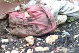 Geger Penemuan Tengkorak Dalam Karung Diduga Korban Pembunuhan