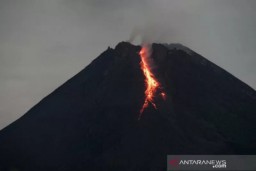 Gunung Merapi Luncurkan Guguran Lava Pijar Sebanyak 17 Kali