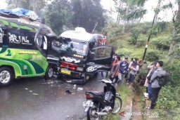 Dua Mikro Bus Tabrakan di Perkebunan Teh, Enam Orang Luka-luka