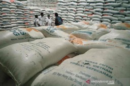 5.000 Ton Beras Impor asal Vietnam Turun Mutu