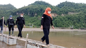 Gubernur Khofifah Ajak Masyarakat Gencarkan Nandur Mangrove