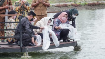 Cegah Stunting, Arumi Ajak Gemar Makan Ikan