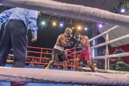 Pemkot-Puri Promotion Gelar "Surabaya Big Fight" di SBEC