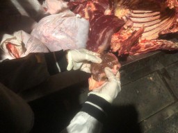 Pemkot Surabaya Temukan Daging dari Luar Kota Tanpa Dokumen Resmi