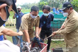 60 Kelompok Pembudi Daya Perikanan di Kulon Progo Dapat Bantuan