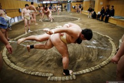 Sumo akan Digelar Lagi dengan Penonton