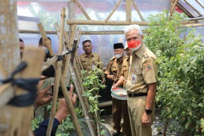 Ganjar Terus Dorong Desa Gerakkan Lumbung Pangan