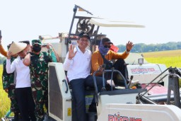 Bupati Bojonegoro Ikut Panen Raya, Petani Dapat Harga Gabah Rp6.500/Kg
