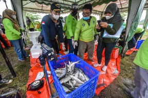 DKPP Surabaya Bagikan Hasil Panen Bandeng Ke Warga MBR