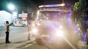 Pemkot Surabaya Intens Monitoring Hewan Ternak di Batas Kota