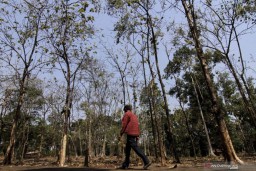 BMKG: Suhu Maksimal April 36 Derajat