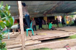 Petani di Mukomuko Tewas Diserang Babi Hutan