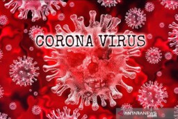WNI di Inggris Meninggal Terpapar Corona