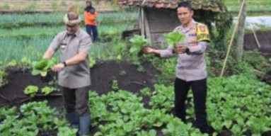 Tanam Cabai Serentak, Kapolres Batu dan Pj. Wali Kota Batu Sepakat Kendalikan Inflasi Daerah