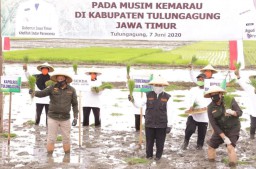 Wujudkan Ketahanan Pangan, Gubernur Khofifah Percepat Tanam Padi