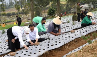 Presiden Harap Produktivitas dan Pendapatan Petani Meningkat
