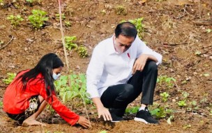 Presiden Jokowi Tanam Pohon Bersama Masyarakat NTB