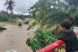 WALHI: Banjir di Aceh karena Fungsi Hutan Sudah Berubah