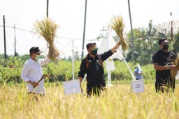 Mentan Dorong Pengembangan Agrowisata