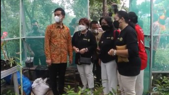 Gibran Serahkan 1.000 Bibit Pohon Buah