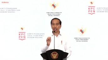Presiden Paparkan Sejumlah Langkah Sukses Pemerintah Tangani Pandemi