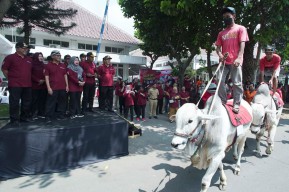 Karnaval Sapi Tunggangan Meriahkan Bulan Bakti Peternakan