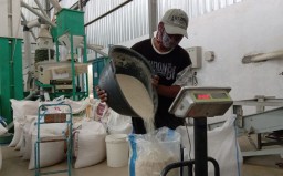 Teknologi Vertical Dryer Angkat Derajat Petani Sawangan: Dari Jemur Gabah ke Produksi Beras Premium