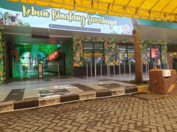Imbas Corona, Penutupan KBS Diperpanjang Hingga 22 April 2020