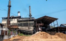 Meski Pandemi, Jadwal Giling PTPN X On Schedule
