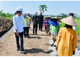 Proyek Padat Karya Ditinjau Jokowi