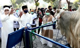 Gubernur dan Wakil Gubernur Serahkan Kurban di Masjid Al Akbar
