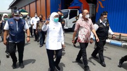Jatim Jadi Penghasil Padi Terbesar Indonesia
