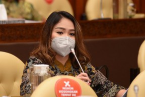 DPR Apresiasi KPP yang Melarang Ekspor Benih Lobster