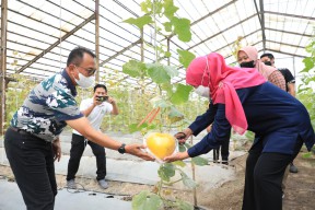 Kunjungan Lapangan Gubernur Jawa Timur di UPT Pengembangan Agribisnis Tanam