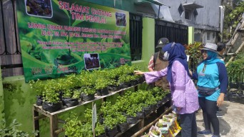 Tingkatkan Efektivitas Pertanian Perkotaan, Dispangtan Luncurkan Smart Farming