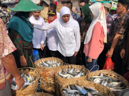 Gubernur Khofifah Optimis Peningkatan Kemandirian Pangan Tercapai