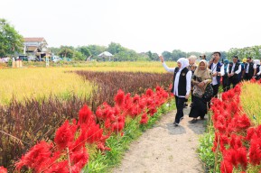 Gubernur Khofifah Buka Temu Lapang dan Pencanangan Penerapan Manajemen Tanaman Sehat Jawa Timur