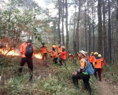 Percepat Penanganan Karhutla Gunung Lawu, BPBD Jatim Siapkan Water Bombing