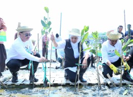 Gubernur Khofifah: Wujud Penguatan Ekosistem Mangrove dari Hulu ke Hilir