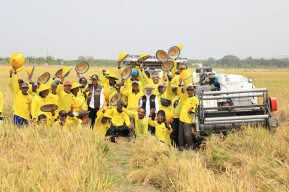 Jatim Jadi Produsen Padi Tertinggi Nasional Selama 4 Tahun Berturut-turut