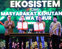 Penjabat Gubernur Jatim Ajak Masyarakat Perbanyak Sedekah Oksigen dengan Menanam Mangrove