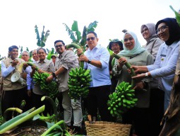 Pemanfaatan Hutan Sosial Lumajang Jadi Strategi Atasi Kemiskinan Ekstrem di Jatim