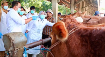 Adhy Karyono Pastikan Stabilitas Ekonomi di Tengah Wabah PMK di Pasar Hewan Jrebeg Kidul