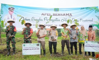 Penanaman Seribu Bibit Sukun: Gerakan Sedekah Oksigen di Pasuruan