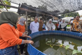 Menko Pangan Zulhas Apresiasi Urban Farming di Surabaya: Kemandirian Pangan Bisa Terwujud