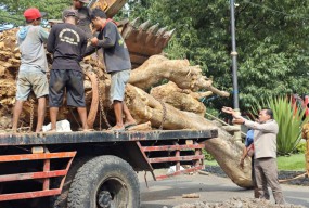 Pj Bupati Pasuruan Tanam Pohon Pule Raksasa, Jadikan Ikon Baru Perkantoran Pemkab